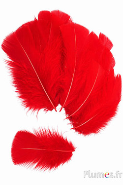 Tacchina - 6-8 cm - rosso